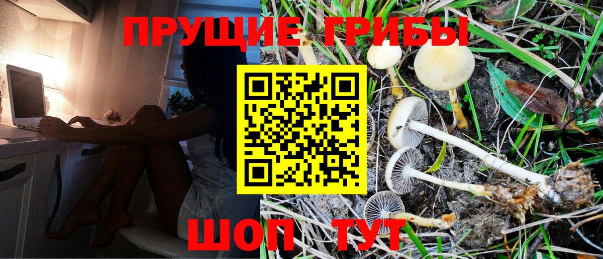 Псилоцибиновые грибы Psilocybe  Галлюциногенные грибы Cubensis  Черняховск  Вход с VPN 