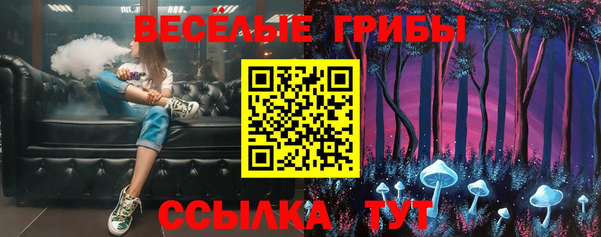 Галлюциногенные грибы мицелий Черняховск